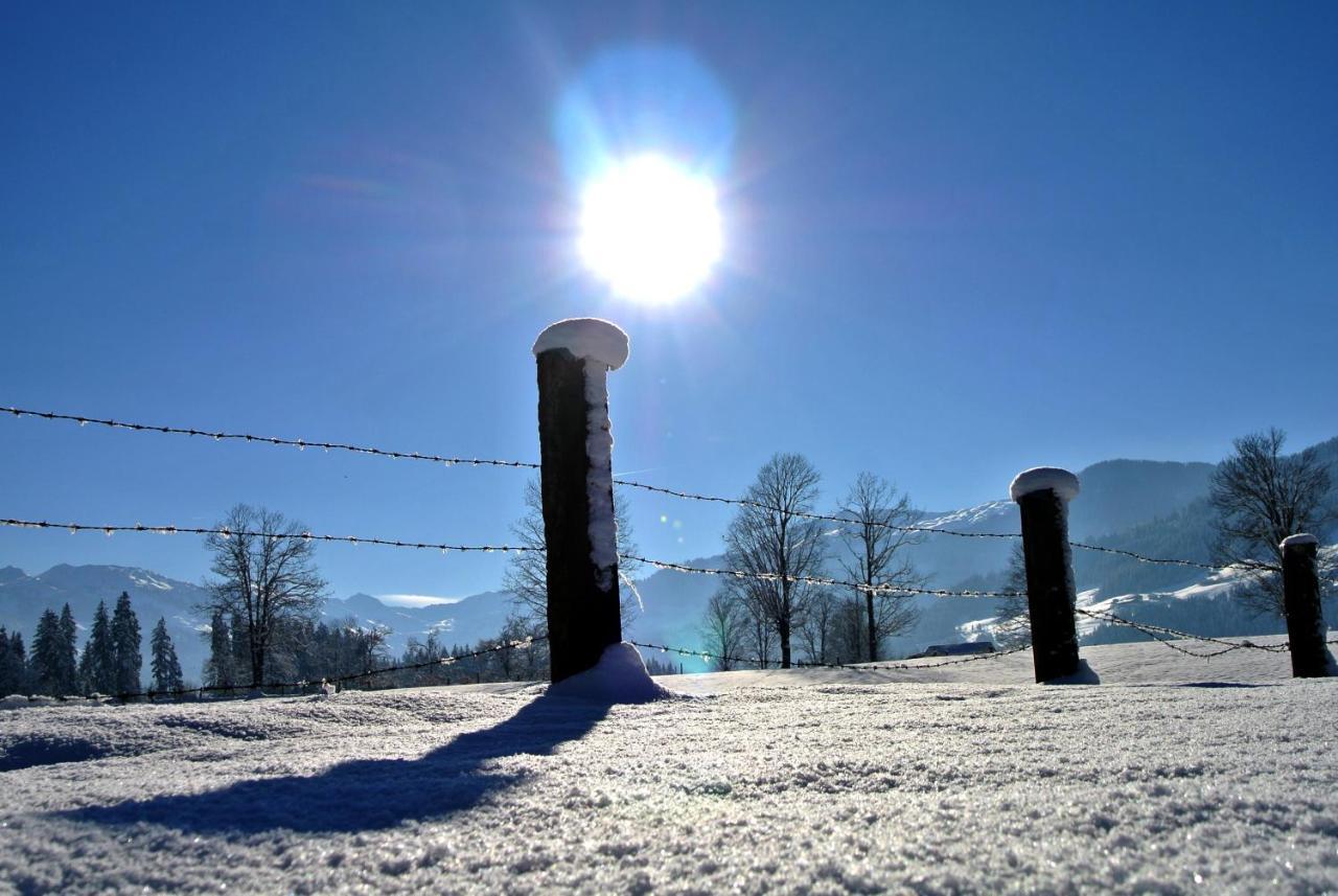 Silber Lodge Im Wiesenstein เอาฟาค์ ภายนอก รูปภาพ