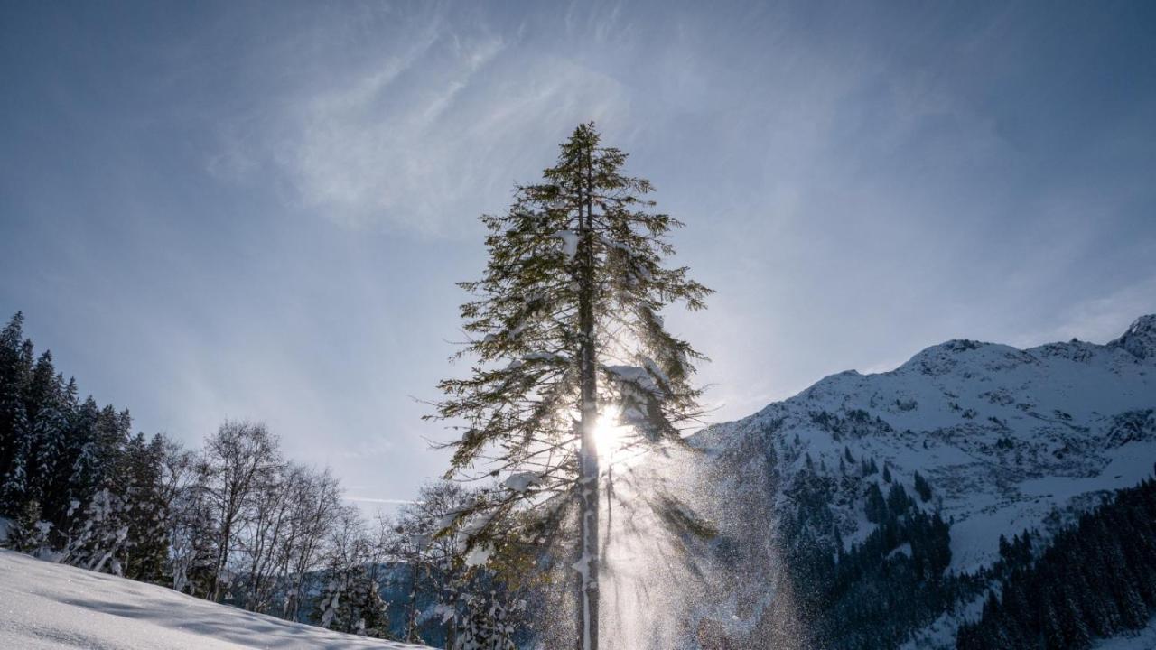 Silber Lodge Im Wiesenstein เอาฟาค์ ภายนอก รูปภาพ